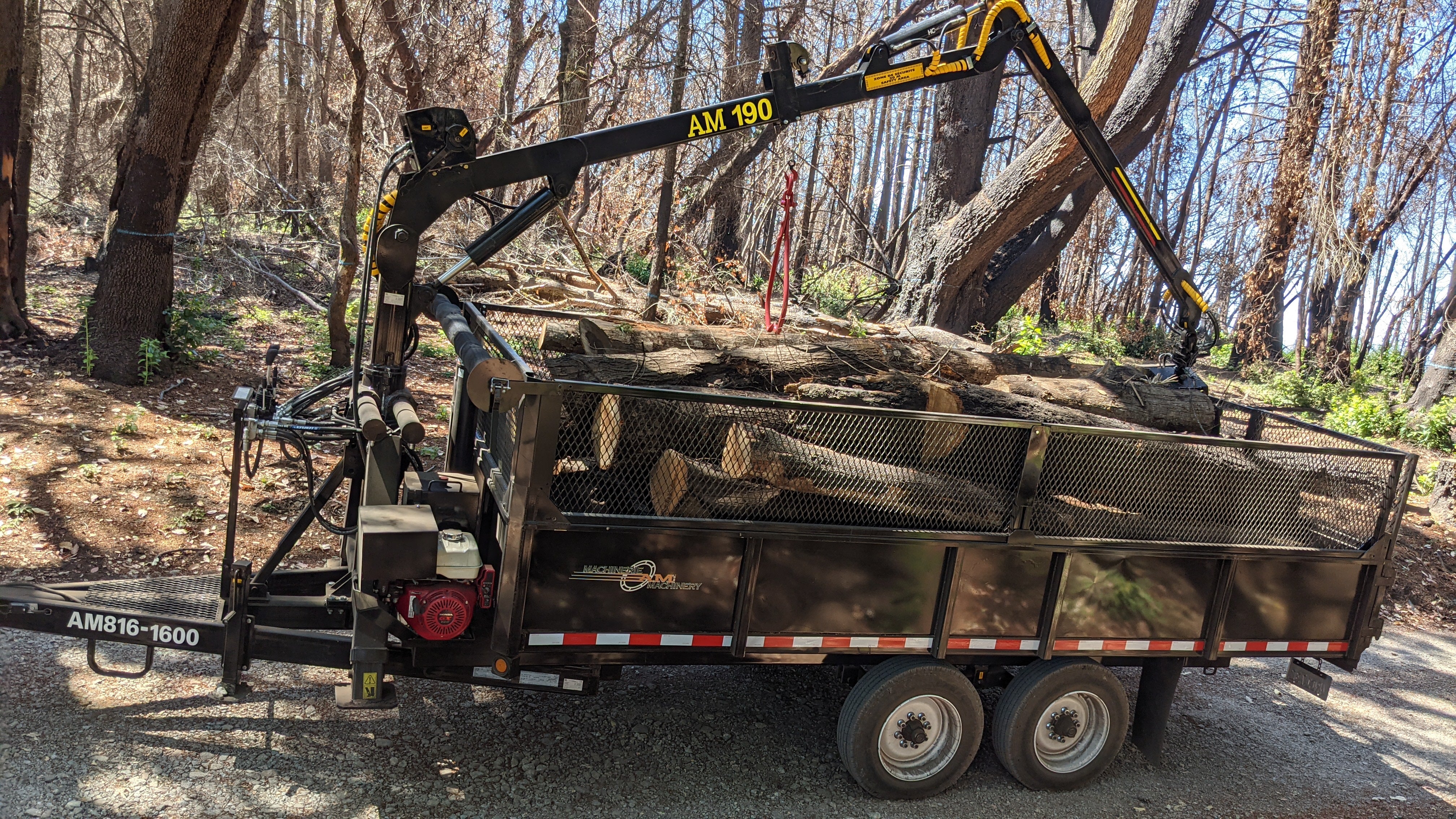 Premium Bay Area Firewood Oak Almond and More Order Online